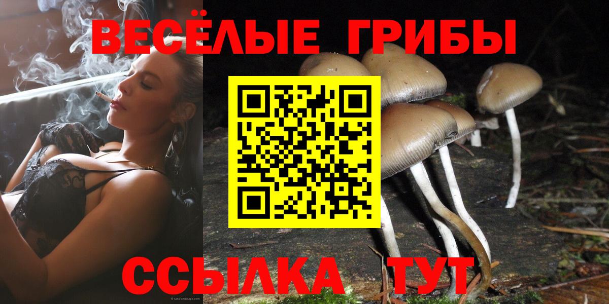 хочу наркоту  Вход с VPN  Михайловка  Галлюциногенные грибы Psilocybine cubensis 
