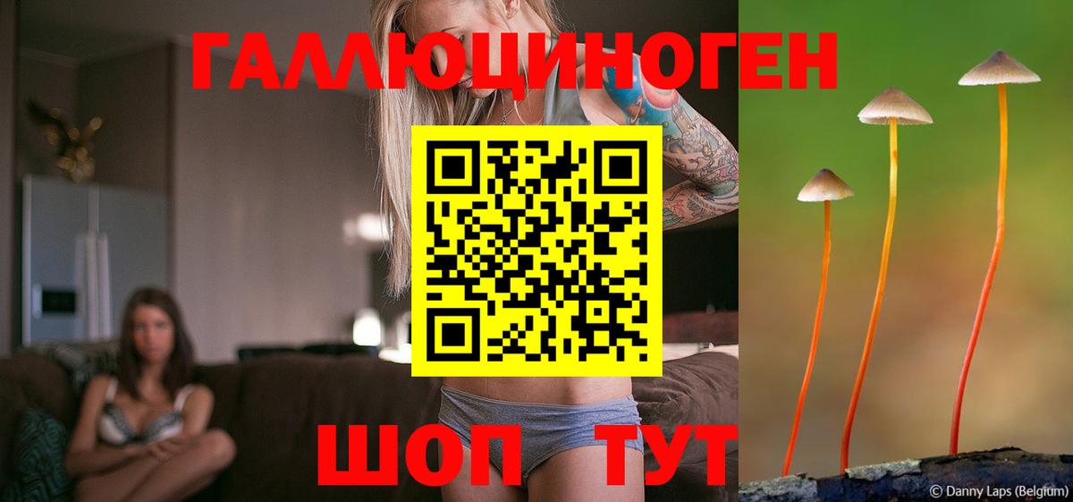 Псилоцибиновые грибы MAGIC MUSHROOMS Михайловка